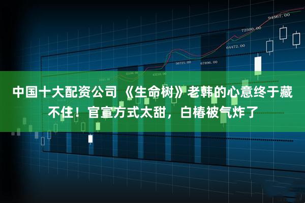 中国十大配资公司 《生命树》老韩的心意终于藏不住！官宣方式太甜，白椿被气炸了